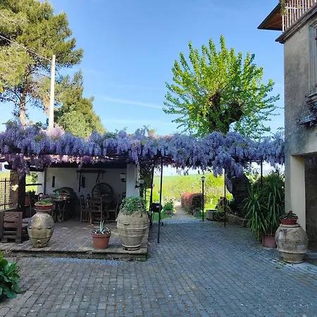 La Collina Di Pilonico Feriegård Pilonico Paterno